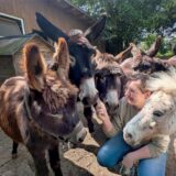 Die Besitzerin eines Ponyhofs wird umringt von ihren Eseln und Ponys.