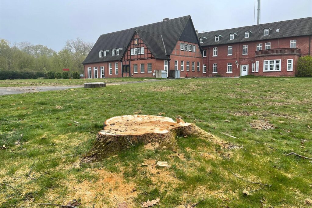 Dieser dicke, alte Baum musste schon weichen für das Bauvorhaben. Die Freifläche am Haus Kreutzkamp soll bebaut werden. Dafür soll auch ein Teil des Gebäudes, das ehemalige Hotel, abgerissen werden, wie es der Investor im April 2024 mitgeteilt hatte. Wenn sich keine Nutzung für die Gaststätte finden sollte, steht auch sie zur Disposition. Dafür gibt es aber inzwischen Interessenten. Dieser dicke, alte Baum musste schon weichen für das Bauvorhaben. Die Freifläche am Haus Kreutzkamp soll bebaut werden. Dafür soll auch ein Teil des Gebäudes, das ehemalige Hotel, abgerissen werden, wie es der Investor im April 2024 mitgeteilt hatte. Wenn sich keine Nutzung für die Gaststätte finden sollte, steht auch sie zur Disposition. Dafür gibt es aber inzwischen Interessenten.