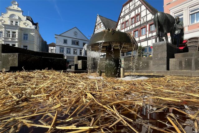 Stroh schwimmt im Becken des Eselsbrunnens am Alten Markt in Unna. Erkennbar hat sich das Wasser im Becken schon braun verfärbt.