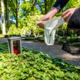 Auf dem Waldfriedhof in Herten sind über einem Grab zwei Hände zu sehen, die einen weißen Damenslip und einen schwarzen BH halten.