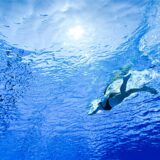 Eine Frau in einem schwarzen Badeanzug schwimmt in blauem Wasser.