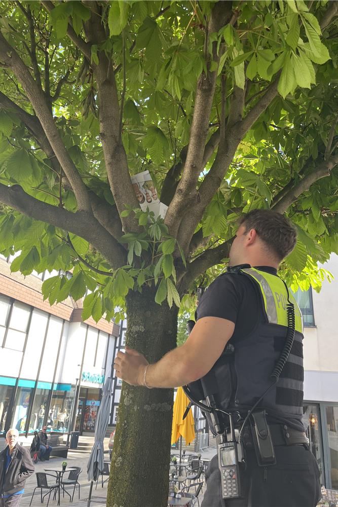 Ein Polizeibeamter klettert auf einer Leiter in eine Baumkrone