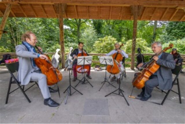 Beim „SommerTagtraum“ treten Musiker auf.