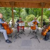 Beim „SommerTagtraum“ treten Musiker auf.