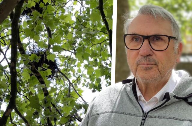 Thomas Griesohn-Pflieger lebt selbst in der Nähe der Kirchstraße