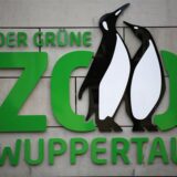 Ein Logo des Zoos Wuppertal. Rund 2.000 Tierschützer haben vor dem Wuppertaler Hauptbahnhof gegen Tierhaltung in Zoos, Delphinarien und anderen Freizeiteinrichtungen demonstriert.