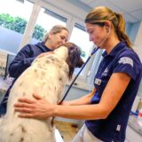 Antje Terdenge und Dr. Martina Krutzinna kümmern sich um einen Hund, der auf dem Behandlungstisch sitzt.