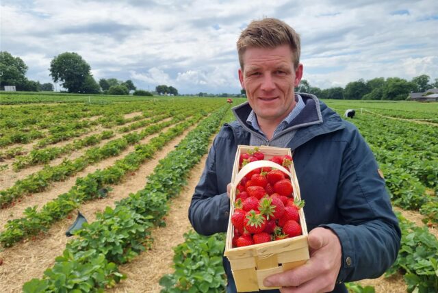 Christoph Schulte streckt einen Korb Erdbeeren in die Kamera.
