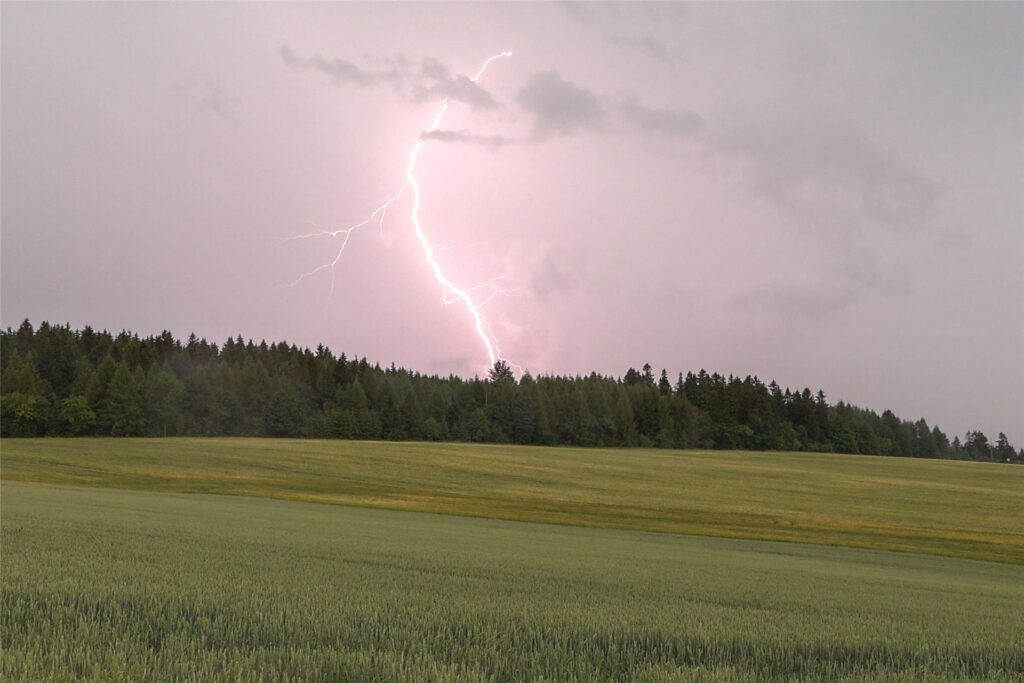 Blitz schlägt über Wald ein. Blitz schlägt über Wald ein.