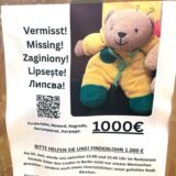 Ein Plakat zu einer Suchaktion.