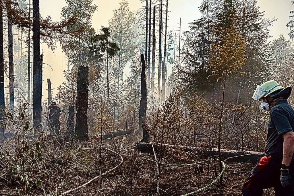 Dieses von den Feuerwehren im Kreis Soest zur Verfügung gestellte Foto zeigt die aufwendigen Löscharbeiten bei einem Waldbrand von 30.000 Quadratmetern am Möhnesee im Kreis Soest. Das Feuer war am späten Abend unter Kontrolle gebracht worden und habe sich seither nicht weiter ausgedehnt, wie die Feuerwehr mitteilte.