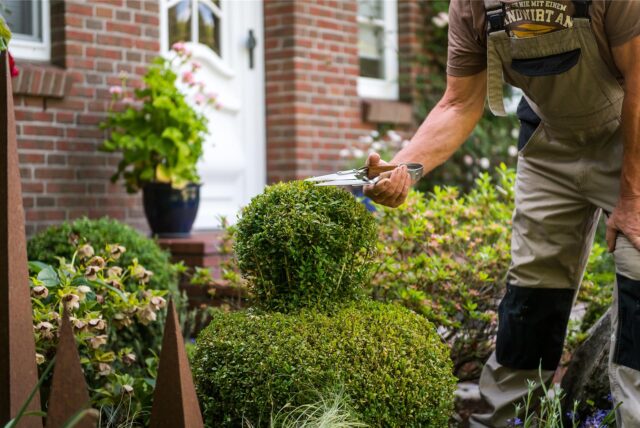 Jemand beschneidet eine Hecke in einem Vorgarten