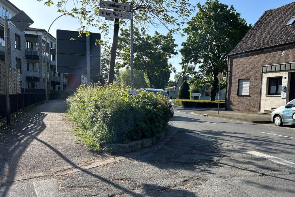 Starker Heckenwuchs an der Funnenkampstraße in Selm Starker Heckenwuchs an der Funnenkampstraße in Selm