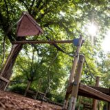 Die Sonne scheint durch einen Baum auf einen Spielplatz.
