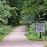 Der Piepenbach am Stadtwald in Werne