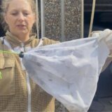 Imkerin Nadine Batze aus Schwerte steht in einem Garagenhof. Sie hält ein Netz in die Kamera, in dem sich Wespen befinden.