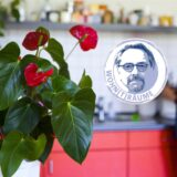 Eine Flamingoblume steht in einer Küche