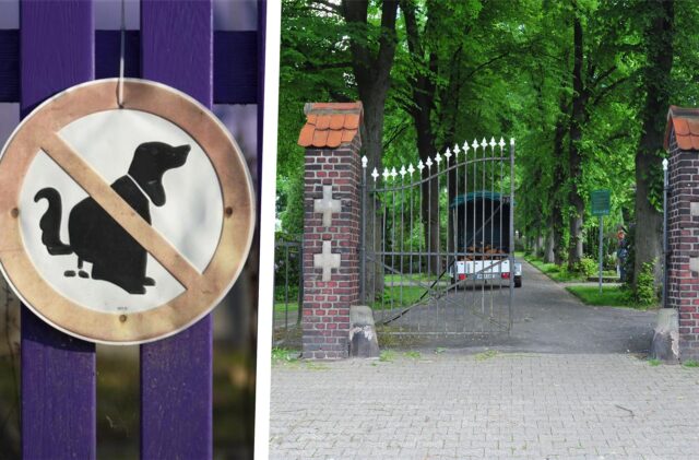 Hundeverbot auf dem kommunalen Friedhof in Holzwickede