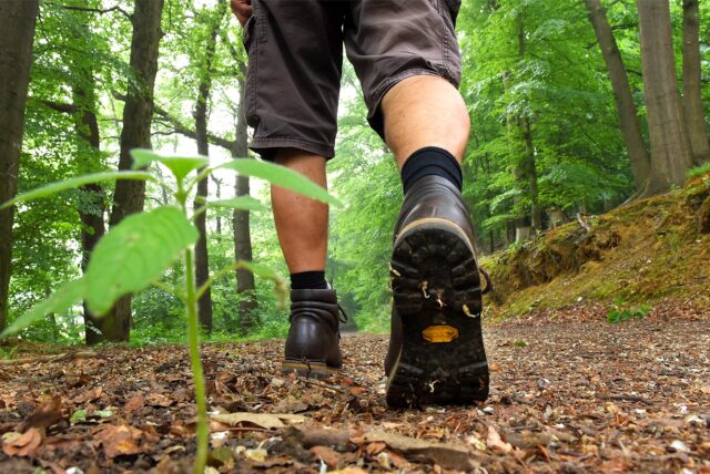 Die Beine eines Wanderes sind auf einem Waldweg zu sehen. Der Mann macht einen Schritt nach vorn und drückt sich gerade mit dem rechten Fuß ab.