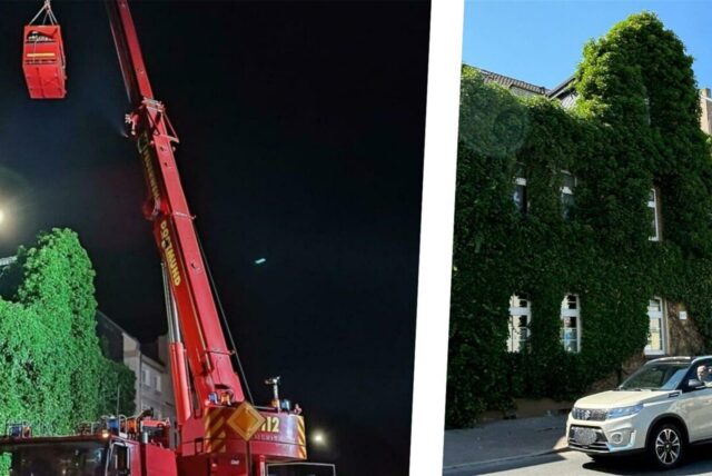 Collage: Links eine Feuerwehr-Teleskopleiter neben einer Hauswand mit Efeu/rechts ein Auto, das vor einem mit Efeu berankten Haus in Dortmund-Huckarde parkt.