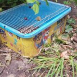 Igel liegt in einer gelben Paw Patrol Box, die mit Kablebindern verschlossen wurde.