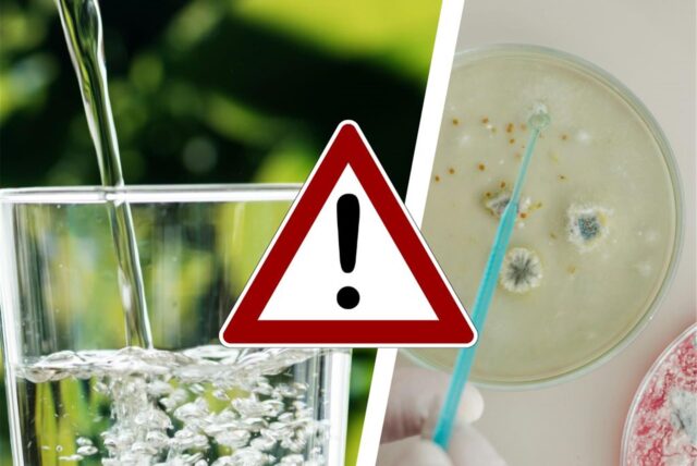 Eine Collage zeigt ein Glas mit Mineralwasser und eine Petrischale mit Bakterien im Labor
