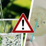 Eine Collage zeigt ein Glas mit Mineralwasser und eine Petrischale mit Bakterien im Labor