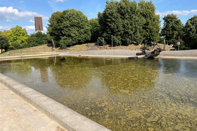Alken und andere Dinge haben das Wasser im Bassin des Wasserparks in Bergkamen verschmutzt.