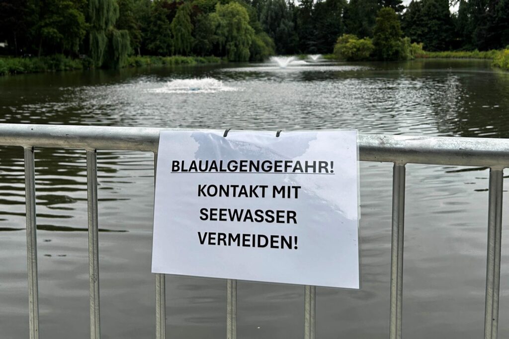 Im Hintergrund laufen Belüftungsanlagen im Stadtsee. Im Hintergrund laufen Belüftungsanlagen im Stadtsee.