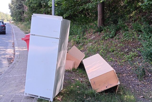 Ein Kühlschrank steht an der Straße am Rande des Pröbstingholzes in Kamen.