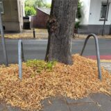 Ein Laubhaufen blockiert einen Gehweg in Unna.