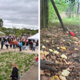 Holzpfähle liegen herausgerissen im neuen Klimagarten in Schwerte herum.